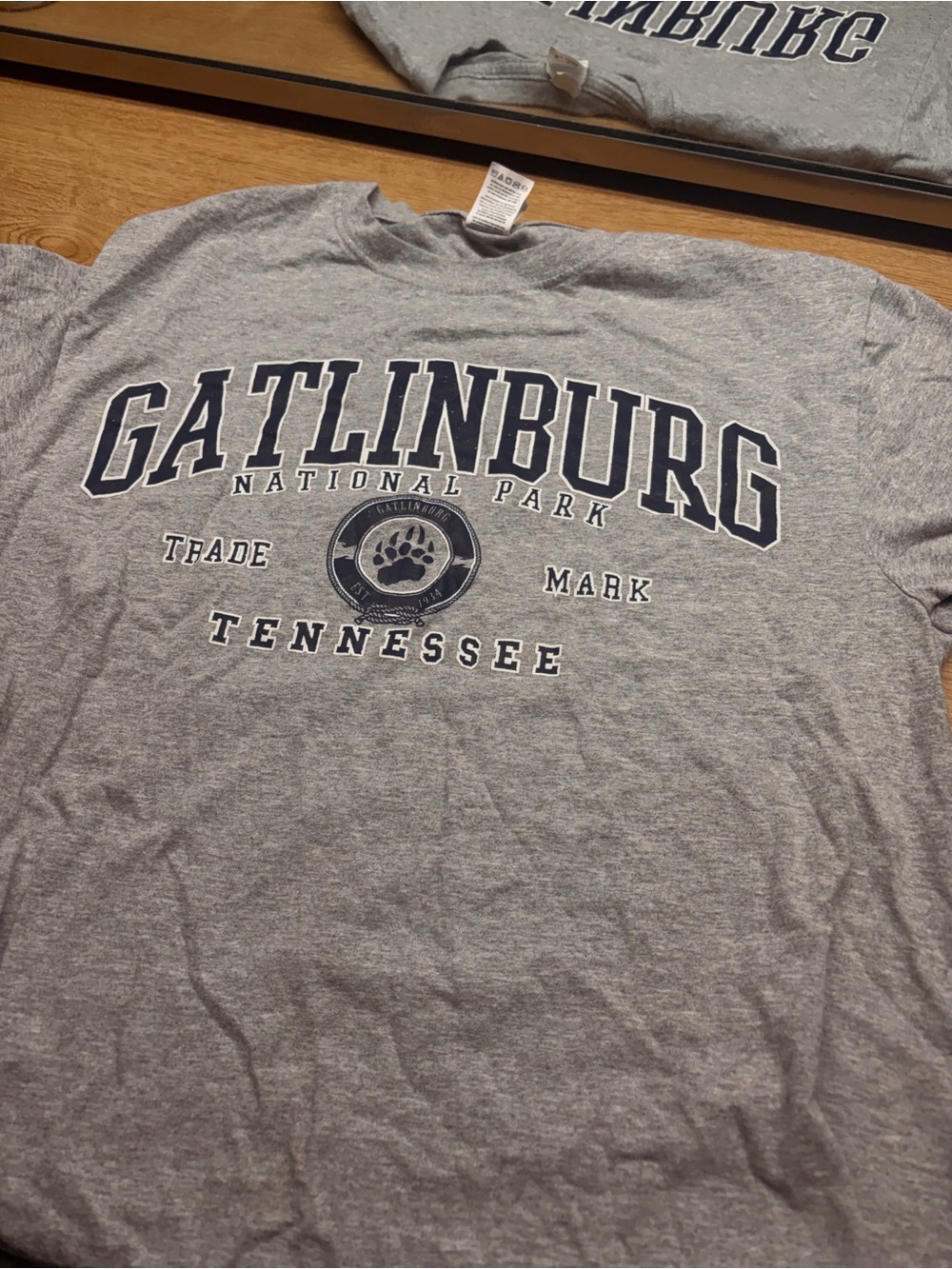 Gatlinburg Tennessee Grey Graphic Tee